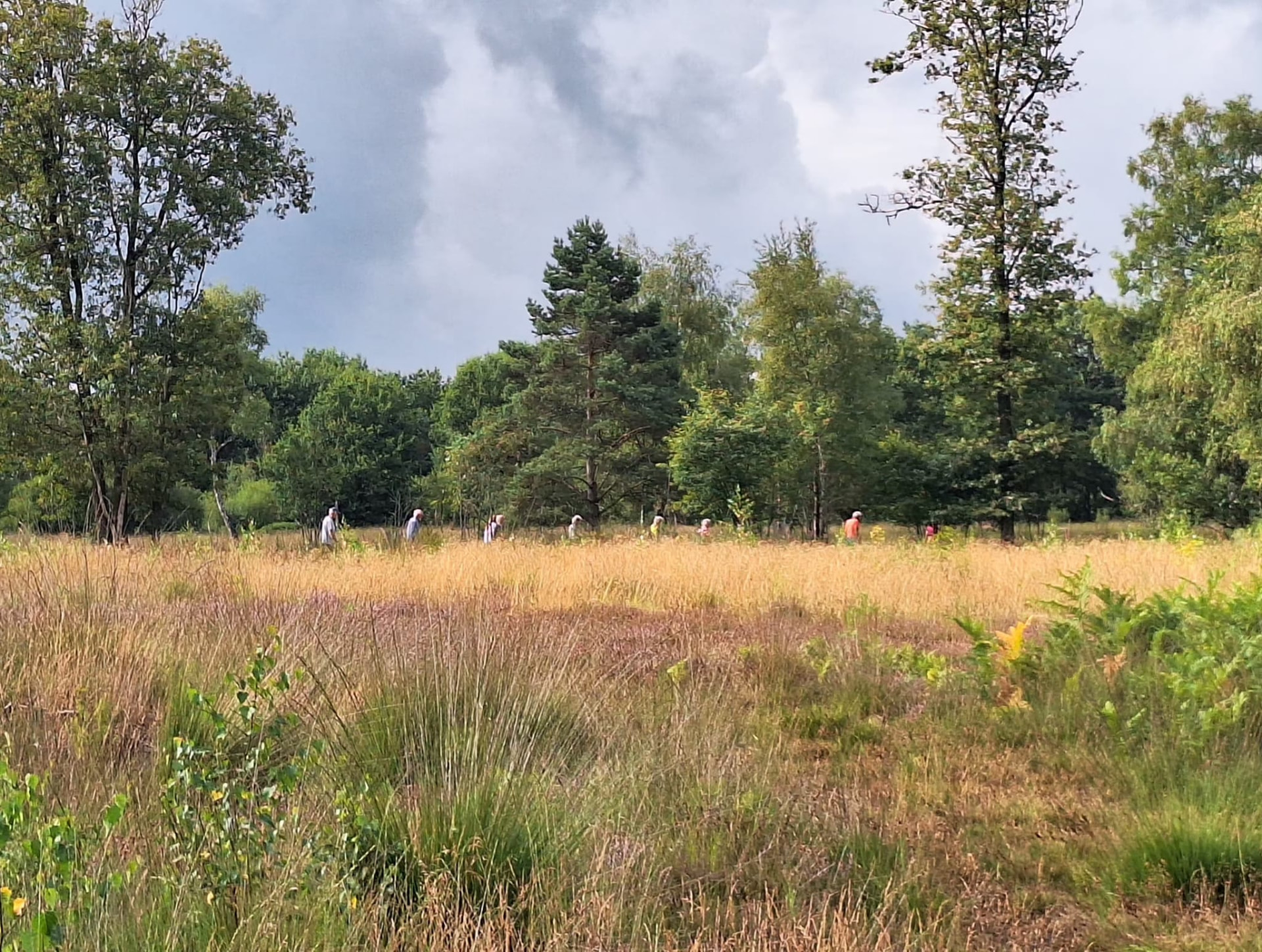 Wandelgroep op de heide